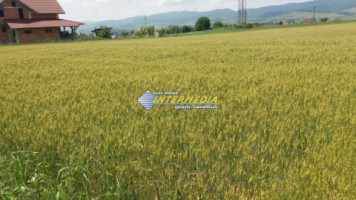 teren-intravilan-oarda-10euromp-parcelabil
